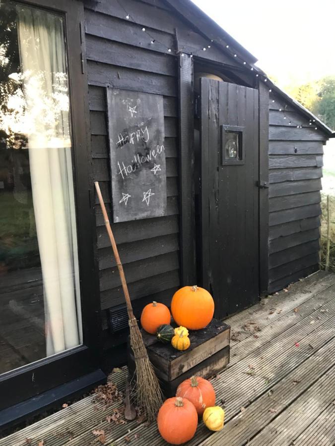 The Old Apple Shed Cosy Heated Cottage In A Meadow Close To The Charming Village Of Bethersden Ashford  Exterior photo